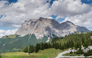 Norveç ladin ve ormanları, Pikea abileri, Mieming Sıradağları, Tyrol Eyaleti, Avusturya