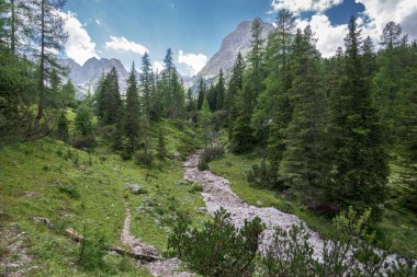 Gaisbach deresi, Seebensee Gölü kıyısında, Mieming Sıradağları, Tyrol Eyaleti, Avusturya.