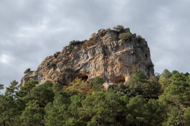 Avusturya çamı ve deniz çamı ormanları, İspanya 'nın Endülüs eyaletinin Jaen ilindeki Cazorla, Segura y las Villas kentindeki doğal parktaki kireçtaşı dağlarının üzerindedir.