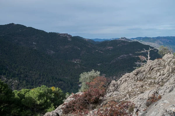 Uitzicht Vanaf Een Top Van Het Natuurpark Van Cazorla Segura — Stockfoto