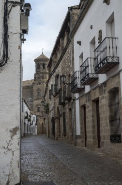 BAEZA, İspanya - 6 Aralık 2022: Baeza Katedrali, ya da Baeza Bakiresi Varsayımı Katedrali. İnşaatı 1593 yılında sona erdi..