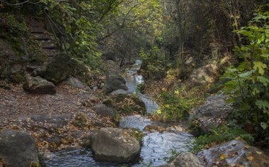 Cerezuelo Nehri, İspanya 'nın Endülüs eyaletinin Jaen iline bağlı Cazorla belediyesine bağlı bir nehirdir.