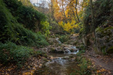 Cerezuelo nehri üzerindeki tahta köprü, Cazorla belediyesi, Jaen, Endülüs, İspanya