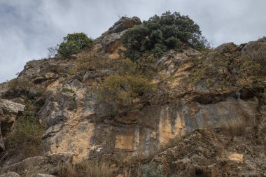 Cazorla, Segura y las Villas, Jaen, Endülüs, İspanya 'daki Doğal Parkı' ndaki kireçtaşı dağlarının üzerindeki Akdeniz bitkisi.