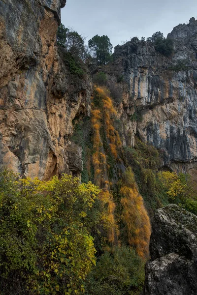 Malena Waterfall Natural Park Cazorla Segura Las Villas Province Jaen — стоковое фото