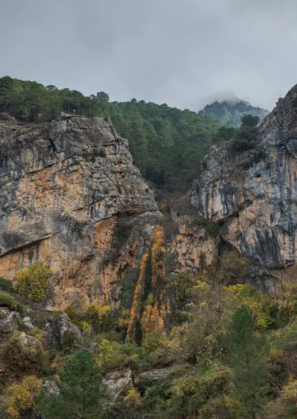 Malena Waterval Het Natuurpark Van Cazorla Segura Las Villas Provincie — Stockfoto