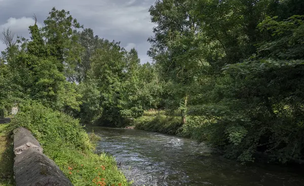 İrlanda 'nın Monaghan ilçesindeki Fane Nehri' nin sakin bir sahnesinde akan sular ve İrlanda kırsalındaki dinginliği ve doğal güzelliği çağrıştıran yemyeşil bir nehir ormanı görülüyor.