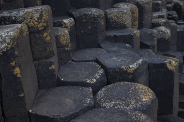 Giant 's Causeway, İrlanda' da altıgen bazalt sütunlara yakın çekim. Doğal geometrik şekiller, her bir taş yüzeyinde zıt dokularla çarpıcı ve karmaşık bir desen oluşturur.