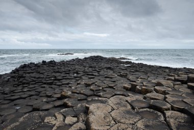 Giant 's Causeway, İrlanda' da altıgen bazalt sütunlara yakın çekim. Doğal geometrik şekiller, her bir taş yüzeyinde zıt dokularla çarpıcı ve karmaşık bir desen oluşturur.