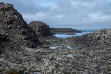 Views of a rocky coast from Ballintoy Harbour, in the Antrim Coast and Glens, Northern Ireland clipart