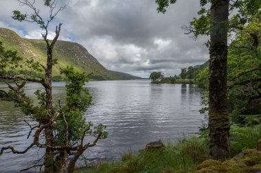 İrlanda 'nın Glenveagh kentinde bulunan Lough Veagh, yemyeşil ve dağlarla çevrili sakin bir göle sahiptir.
