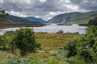 İrlanda 'nın Glenveagh kentinde bulunan Lough Veagh, yemyeşil ve dağlarla çevrili sakin bir göle sahiptir.