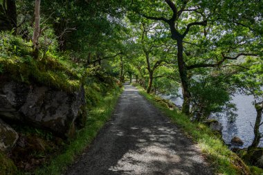 A narrow pathway shaded by trees runs alongside the tranquil Lough Veagh, with sunlight filtering through the foliage clipart