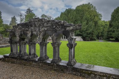 Weathered stone arches of Cong Abbey, Ireland, surrounded by a lush green lawn and dense trees under an overcast sky clipart