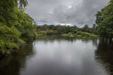 The River Cong and the forest of Cong near the locality of Cong, Ireland, with calm waters reflecting the overcast sky and dense, lush greenery on both sides clipart