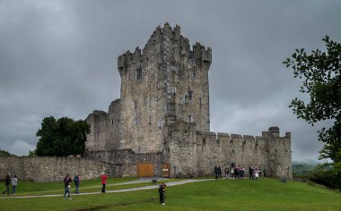 8 Ağustos 2023 'te İrlanda' da Ross Şatosu 'nun taş kulesi çimen ve bulutlu gökyüzü ile çevrili.
