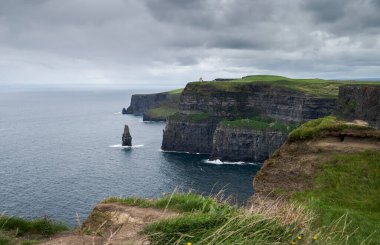 İrlanda 'nın batı kıyısındaki Moher Kayalıkları' nda bulutlu bir gökyüzü, okyanus dalgaları ve ön planda kır çiçekleri vardı.