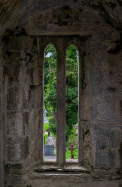 İrlanda, Muckross Abbey 'de dar, gotik tarzda kemerli bir pencereden bakınca ağaçlar ve mezarlık manzaralı yeşil bir manzara.