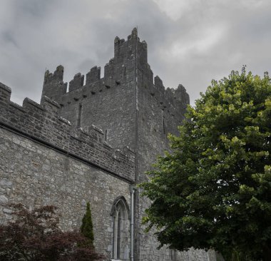 Adare, İrlanda 'daki Trinitarian Manastırı. Çırpılmış bir korkuluk ve kemerli bir penceresi var. Gökyüzü bulutlu.