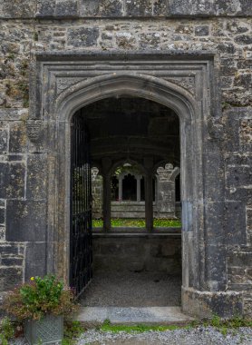 Üzerinde karmaşık oymalar bulunan, metal bir kapı tarafından kısmen gizlenmiş, yıpranmış dokuyu ve Adare Friary, İrlanda 'nın tarihsel mimarisini gösteren kemerli taş bir kapı.