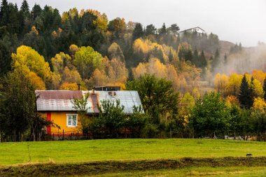 Savsat 'ta sonbahar manzarası. Artvin, Türkiye. Sisli güzel sonbahar manzarası. Renkli sonbahar doğa görünümü.