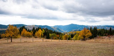 Savsat 'ta sonbahar manzarası. Artvin, Türkiye. Güzel sonbahar manzarası. Renkli sonbahar doğa görünümü ve dağ arkaplanı.