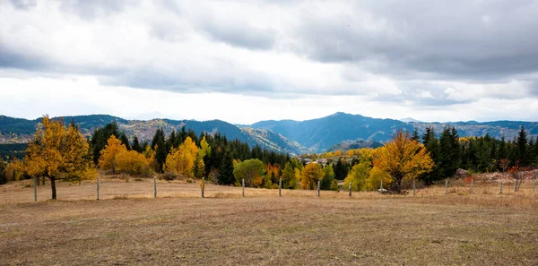 Savsat 'ta sonbahar manzarası. Artvin, Türkiye. Güzel sonbahar manzarası. Renkli sonbahar doğa görünümü ve dağ arkaplanı.