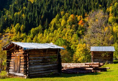 Savsat 'ta sonbahar manzarası. Artvin, Türkiye. Ahşap eviyle güzel bir sonbahar manzarası. Renkli sonbahar doğa görünümü