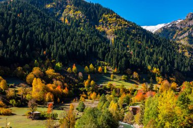 Savsat 'ta sonbahar manzarası. Artvin, Türkiye. Renkli ağaçlarla dolu güzel sonbahar manzarası.