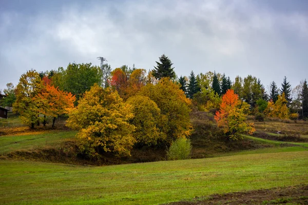 Jesienny Widok Savsat Artvin Turcja Piękny Jesienny Krajobraz Kolorowymi Drzewami — Zdjęcie stockowe
