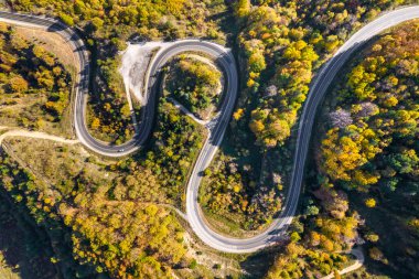 Ormanın içinden dolambaçlı bir yol. Virajlı yolu olan güzel bir sonbahar manzarası. Hava aracı görüntüsü.