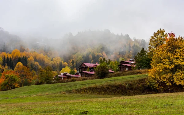 Blick Auf Den Herbst Savsat Artvin Türkei Schöne Herbstlandschaft Mit — Stockfoto