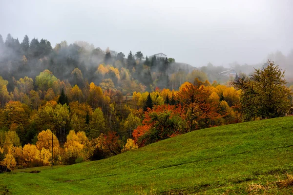 Blick Auf Den Herbst Savsat Artvin Türkei Schöne Herbstlandschaft Mit — Stockfoto