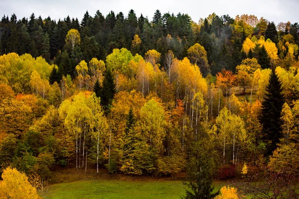 Savsat Sonbahar Manzarası Artvin Türkiye Renkli Ağaçlarla Dolu Güzel Sonbahar Telifsiz Stok Fotoğraflar