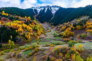 Savsat 'ta sonbahar manzarası. Artvin, Türkiye. Renkli ağaçlarla dolu güzel sonbahar manzarası.