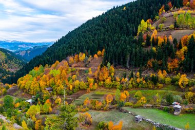 Savsat 'ta sonbahar manzarası. Artvin, Türkiye. Renkli ağaçlarla dolu güzel sonbahar manzarası.