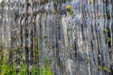 Boyabat Bölgesindeki Basalt Kayalıkları. Sinop, Türkiye. Sinop 'ta bulunan volkanik kaya çıkıntıları sütun bazalt formunda. Bazalt Kayaları Doğa Anıtı.