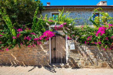 Türkiye 'nin Mugla kentindeki Eski Datca Bölgesi. Eski Datca Bölgesi 'nin tipik nostaljik taş evleri. Datca, Mugla. Begonville ile güzel bir sokak manzarası.