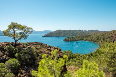 Datca. Mugla, hindi. Turkuaz su ve yeşil ormanlı güzel körfez manzarası.