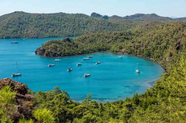 Datca. Mugla, hindi. Turkuaz su ve yeşil ormanlı güzel körfez manzarası.