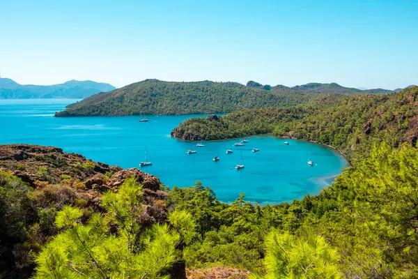 Datca Mugla Turkey Beautiful Bay View Turquoise Water Green Forest — Stock Photo, Image
