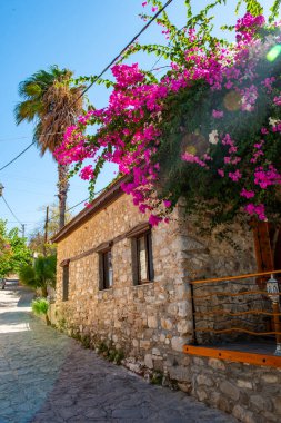 Türkiye 'nin Mugla kentindeki Eski Datca Bölgesi. Eski Datca Bölgesi 'nin tipik nostaljik taş evleri. Datca, Mugla. Begonville ile güzel bir sokak manzarası.