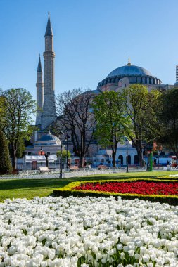 İstanbul, Türkiye - 18 Şubat 2024: İstanbul, Türkiye 'deki Mavi Cami (Sultanahmet Camii). Laleli Mavi Cami.