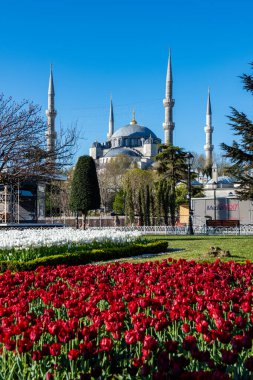 İstanbul, Türkiye - 18 Şubat 2024: İstanbul, Türkiye 'deki Mavi Cami (Sultanahmet Camii). Laleli Mavi Cami.