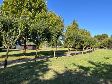 İzmit, Kocaeli 'deki Seka Parkı. Deniz kıyısındaki güzel doğal park. Seka Parkı, Kocaeli 'nin en güzel parklarından biri..
