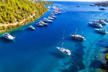 Paradise Bay (Turkish: Cennet Koyu) in Bodrum. Mugla, Turkey. One of the most beautiful bays in Bodrum with blue sea and nature. Drone shot. clipart