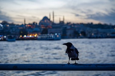 İstanbul, Türkiye. Bokeh ve şehir ışıklarıyla şehir manzarası. Bulanık soyut arkaplan ışıkları.
