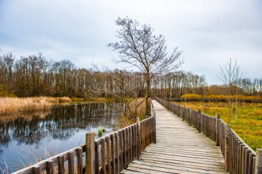 Acarlar Floodplain Forest (Turkish: Acarlar Longozu) is a floodplain forest located in Karasu. Sakarya, Turkey. clipart