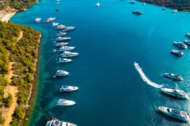 Bodrum 'daki Paradise Bay (Türkçe: Cennet Koyu). Mugla, hindi. Mavi deniz ve doğa ile Bodrum 'un en güzel koylarından biri. İHA atışı.