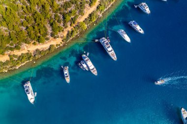 Bodrum 'daki Paradise Bay (Türkçe: Cennet Koyu). Mugla, hindi. Mavi deniz ve doğa ile Bodrum 'un en güzel koylarından biri. İHA atışı.